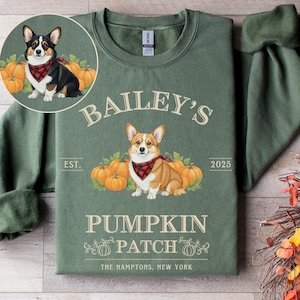 May include: Green sweatshirt featuring a corgi illustration with a red and black bandana, surrounded by pumpkins. The text reads "Bailey's Pumpkin Patch, The Hamptons, New York".