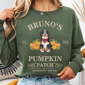 May include: Green sweatshirt with the text "Bruno's Pumpkin Patch" and a graphic of a dog wearing a bandana, surrounded by pumpkins. The text "The Hamptons, New York" is printed at the bottom. The sweatshirt is long-sleeved.