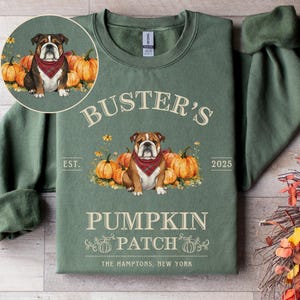 Peut inclure: Sweat-shirt vert avec l'inscription "Buster's Pumpkin Patch" et un dessin de bouledogue avec un bandana, entouré de citrouilles. Le sweat-shirt comprend également le texte "The Hamptons, New York".