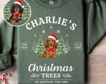 Long-Haired Dachshund Christmas Sweatshirt, Dachshund Shirt, Custom Holiday Sweater, Personalized Dog Gift, Doxie Mom Xmas Gifts Wiener Dog