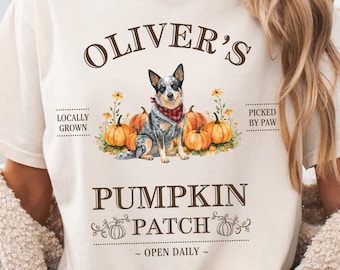Personlig Heeler Dog Halloween-tröja, australisk nötkreaturshund-tröja, blå Heeler-t-shirt, anpassad pumpalapp-tröja, nötkreaturshund-present, höst