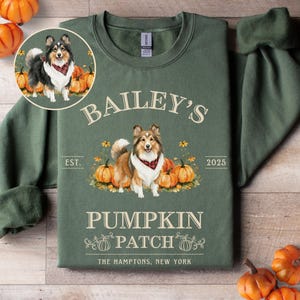 May include: Green sweatshirt with the text "BAILEY'S PUMPKIN PATCH" and a dog illustration. The design includes pumpkins and the text "THE HAMPTONS, NEW YORK". A smaller circular image of the dog is in the upper left corner.