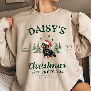 Christmas Dachshund Sweatshirt, Custom Dachshund Shirt, Wiener Dog Sweater, Christmas Doxie Mom Gift, Dogs Christmas Shirt, Dachshund Lovers