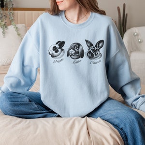 May include: A light blue sweatshirt with a graphic of three bunny rabbits. The bunnies are black and white and have names written underneath them: Papito, Bella, and Cheerio.
