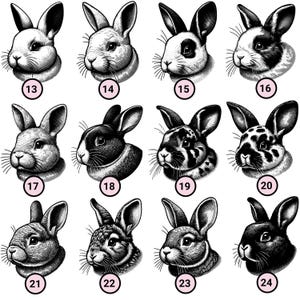 May include: A set of 12 black and white illustrations of rabbits with different patterns and markings. The illustrations are numbered 13 through 24.
