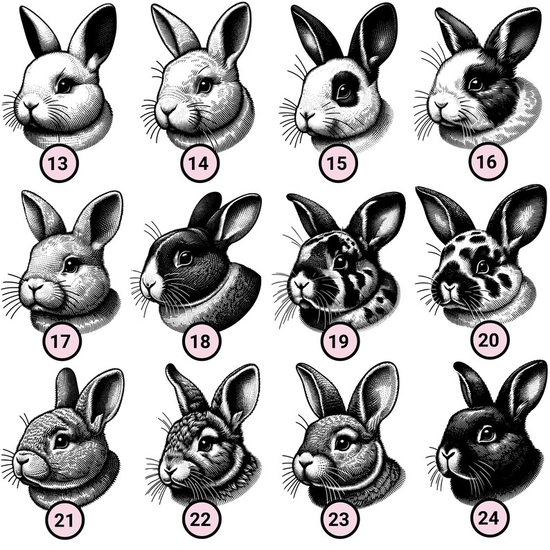 May include: A set of 12 black and white illustrations of rabbits with different patterns and markings. The illustrations are numbered 13 through 24.