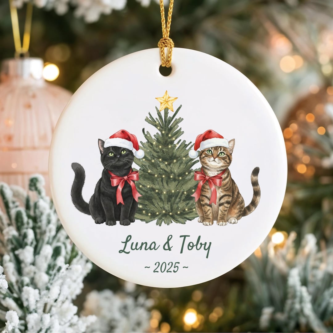 Personalized Cat Christmas Ornament, Custom Pet Ornament, Cat Lover ...