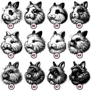 May include: A collection of 12 black and white illustrations of fluffy rabbits with different facial expressions. Each rabbit is numbered from 37 to 48.