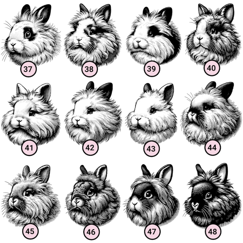May include: A collection of 12 black and white illustrations of fluffy rabbits with different facial expressions. Each rabbit is numbered from 37 to 48.