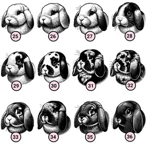 May include: A collection of 12 black and white illustrations of lop-eared rabbits. The rabbits are drawn in a realistic style and have different fur patterns and colors.