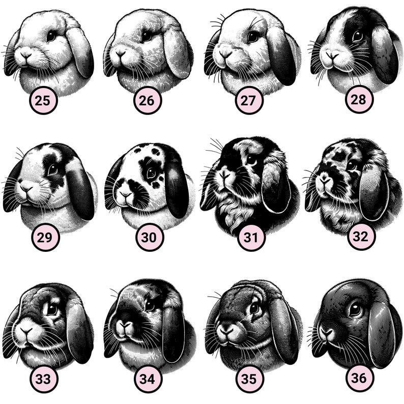 May include: A collection of 12 black and white illustrations of lop-eared rabbits. The rabbits are drawn in a realistic style and have different fur patterns and colors.