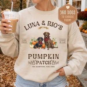 Pode incluir: Uma camisola bege de gola redonda com um gráfico de um dachshund e um labrador chocolate com bandanas axadrezadas vermelhas, rodeados por abóboras. O texto diz: LUNA & RIO'S EST. 2026, FARM FRESH, PICKED BY PAW, PUMPKIN PATCH, THE HAMPTONS, NEW YORK.