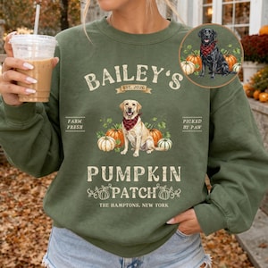 Labrador Retriever Halloween Sweatshirt, Personalized Pumpkin Patch Dog Shirt, Custom Lab Sweater, Fall Labrador Gifts