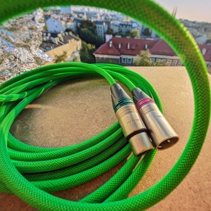 Puede incluir: Dos cables de audio verdes con conectores chapados en oro. Los cables están enrollados y tienen una capa exterior trenzada verde.