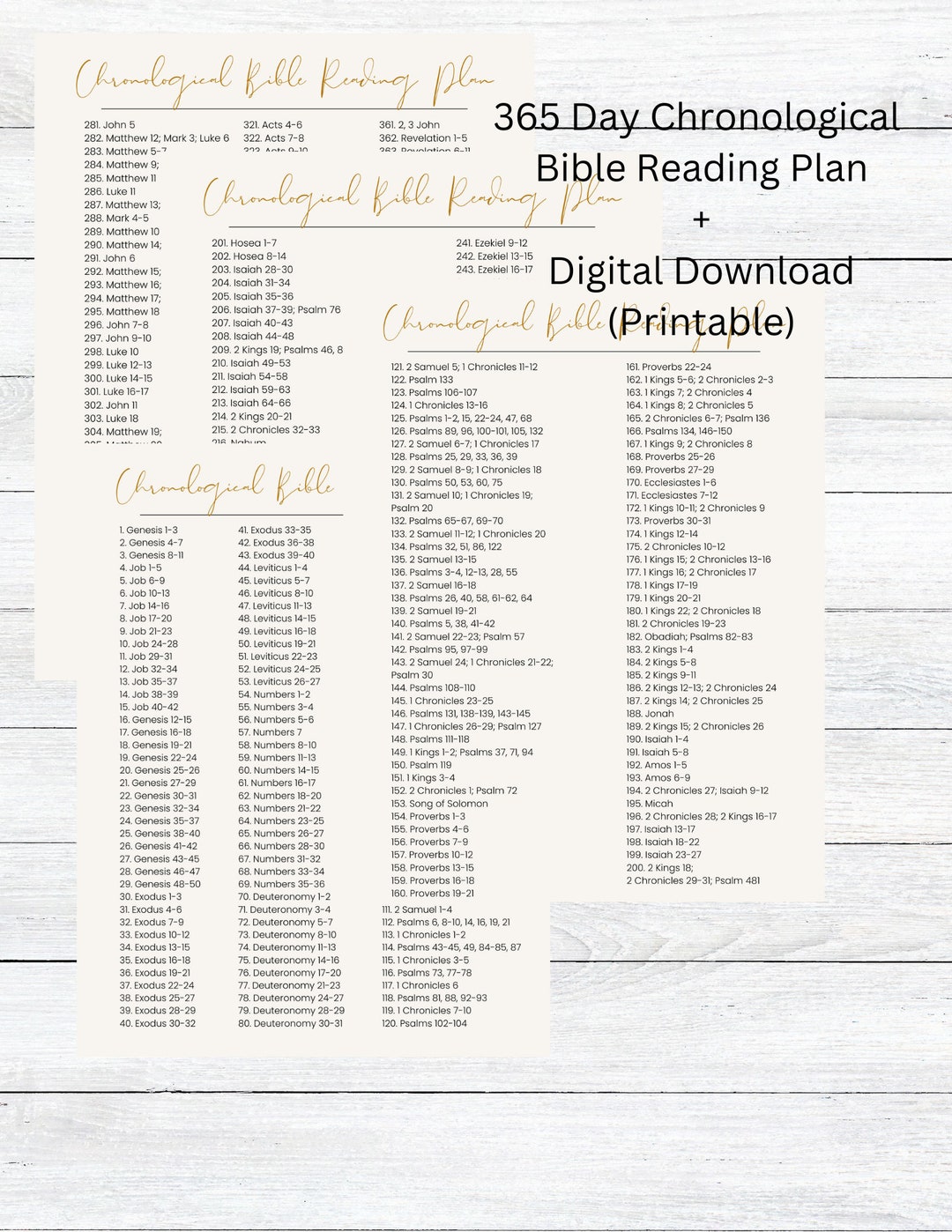 Chronological Bible Reading Plan: 365 Day Tracker (printable PDF) - Etsy
