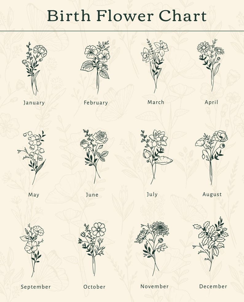 Puede incluir: Un gr&aacute;fico que muestra la flor de nacimiento para cada mes del a&ntilde;o. Las flores est&aacute;n ilustradas en blanco y negro en arte lineal.