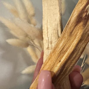 May include: Two pieces of light brown Palo Santo wood are held in a hand, with a blurred background of dried, fluffy, beige-colored bunny tail grass. The wood has a textured, natural appearance.