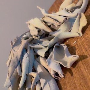 May include: Close-up of dried sage leaves, pale green and beige, arranged on a wooden surface. The leaves have a textured appearance and are clustered together, with some edges curled. The background is a light gray.