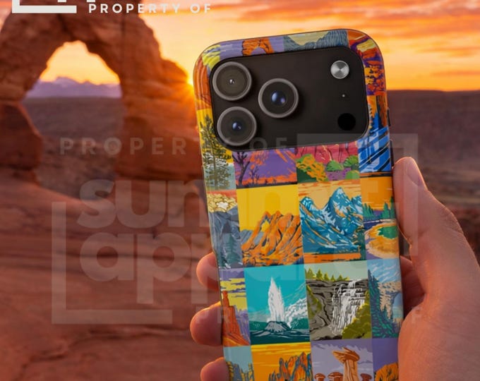National Park Patchwork Phone Case | Colorful Scenic Landscape Collage