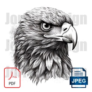 Op de afbeelding: Een gedetailleerde zwart-witte potloodtekening van een adelaarskop, met een scherpe focus op het oog en de snavel.