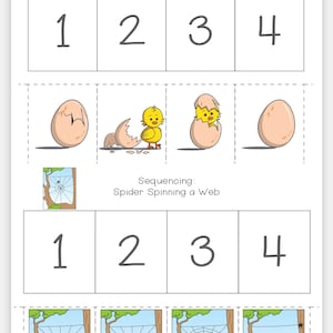 Activiteiten voor kinderen in het dagelijks leven: 15 leerzame verhalen om vaardigheden aan te leren/verhaalkaarten