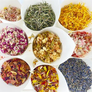 Coriandoli + coni per matrimonio / Coriandoli di fiori secchi / Coriandoli biodegradabili / Coriandoli per matrimonio alla rinfusa / Coriandoli naturali / decorazioni ecologiche per feste