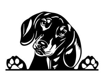Peeking Dachshund Snag Sausage Dog Decal - Car Window Laptop Vinyl Sticker