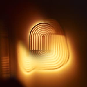 The Carve Wall Sconce