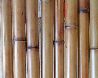8 Pack Flame Cured Bamboo Poles, 2" Diameter, Indoor Outdoor Decor Sticks