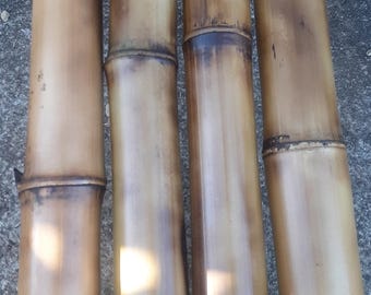 1.5-2" Bamboo Poles 4 Pack Bamboo Craft Sticks Garden Decor Wood Bamboo Poles Indoor Decor
