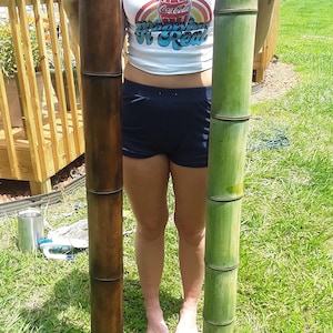 4.5" X Large Flame Cured Bamboo Pole Construction Grade Bamboo Eco-DIY Decor