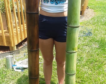 Bamboo Pole For Sale - 4.5" X Large Flame Cured Construction Grade Bamboo Eco-DIY Decor