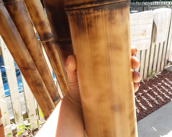 X Large Flame Cured Bamboo Pole 4" Diam.