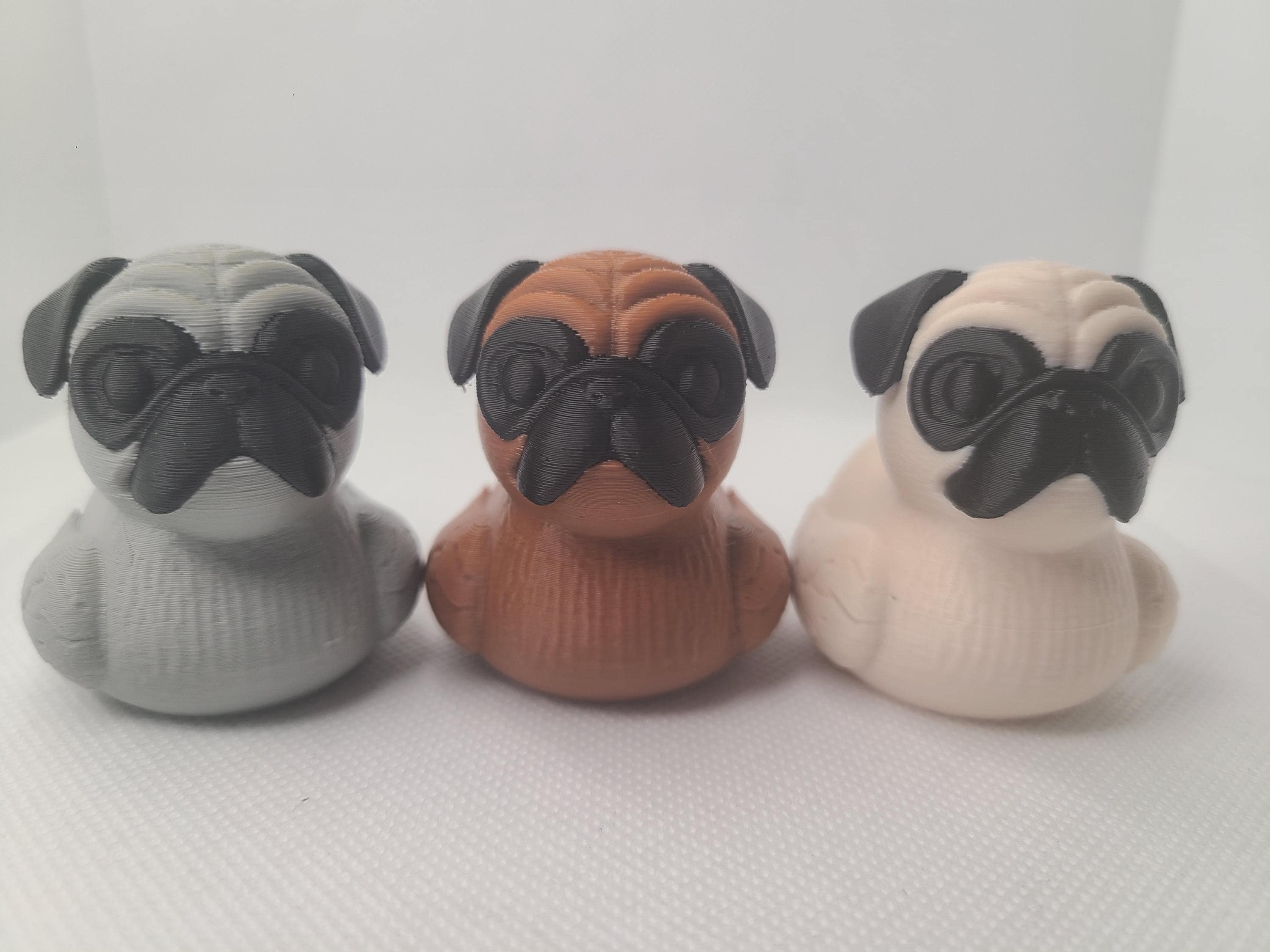 Mini pug Canada