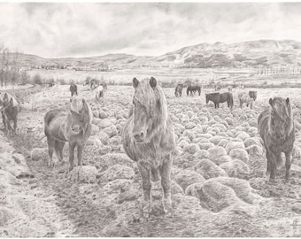 IJslandse paarden landschap - realisme grafiettekening digitale afdruk, IJsland