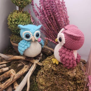 May include: Two crocheted owl figurines, one light blue and one dusty pink, each featuring large black safety eyes, white belly patches, and textured wing details. The blue owl holds a small pink flower, while both sit on a bed of moss and twigs.
