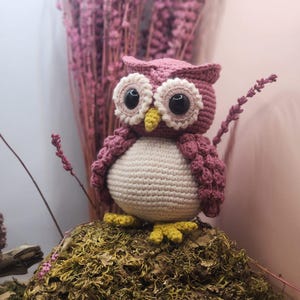 May include: A crocheted owl figurine featuring a dusty rose body, a cream-colored belly, and large black eyes surrounded by cream-colored circular patches. The owl has a small yellow beak and yellow feet, with textured wings and ear tufts.