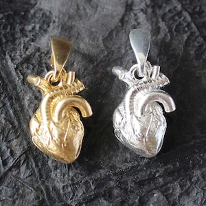 Sterling Silver 3D Anatomical Heart Pendant Necklace - 24K Gold-Plated Option - Unique Heart Shape Jewelry Gift- Silver Heart Necklace Charm