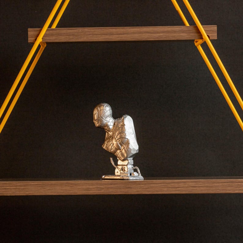 Pu&ograve; includere: Una scultura in argento di una testa e spalle umane, con una superficie testurizzata, &egrave; esposta su uno scaffale di legno. Lo scaffale &egrave; sospeso al soffitto da due corde gialle.