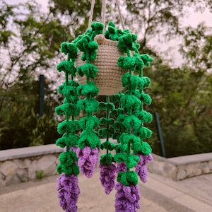 Haakpatroon plant, patroon hangende plant, bloemenmand hangend haakwerk, patroon hangende plant, cadeau voor plantenliefhebbers, cadeau voor moeder