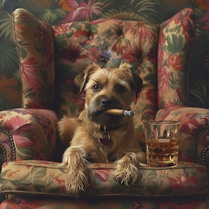 May include: A brown and tan terrier dog sits in a floral armchair, holding a cigar in its mouth. The dog is wearing a collar with a tag. A glass of amber liquid sits on the armrest of the chair.