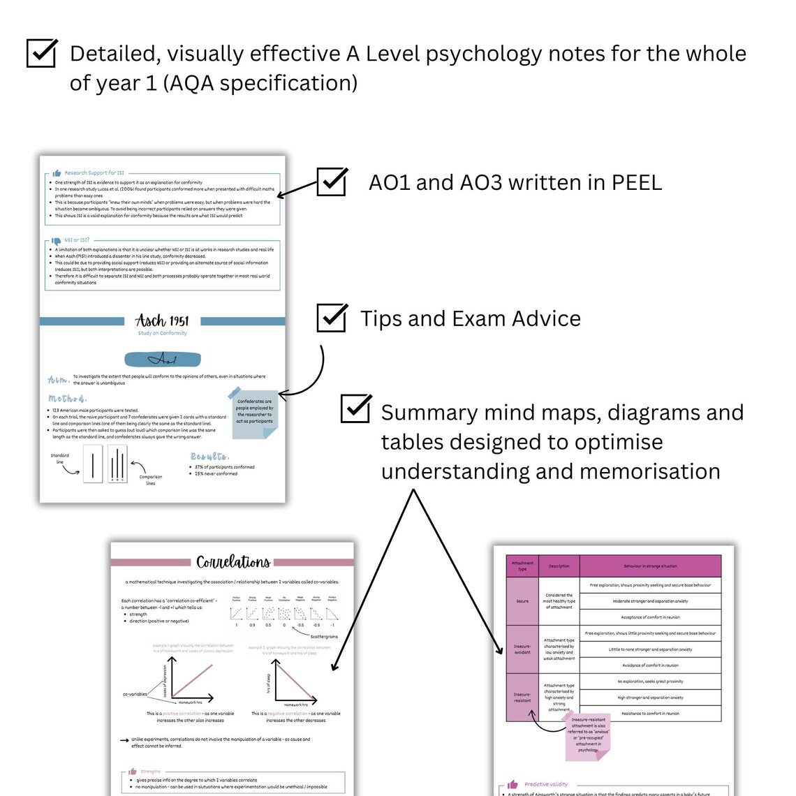 A Level Psychology Notes: Year 1 AQA Revision Guide (PDF) | Complete ...