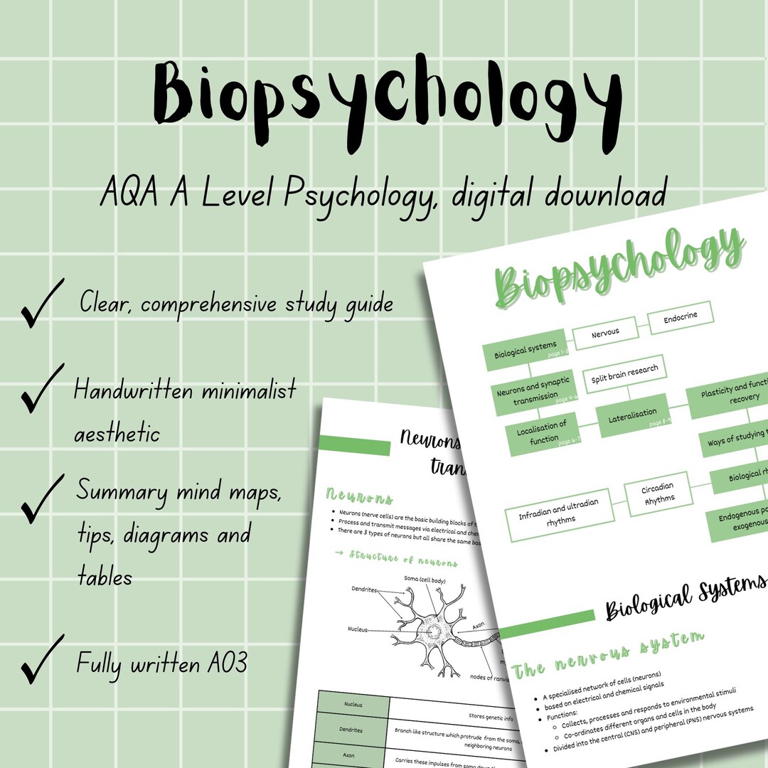 Aesthetic Handwritten Biopsychology Notes | AQA A Level Psychology ...