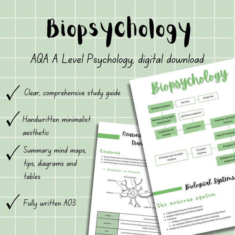 Aesthetic Handwritten Biopsychology Notes | AQA A Level Psychology ...