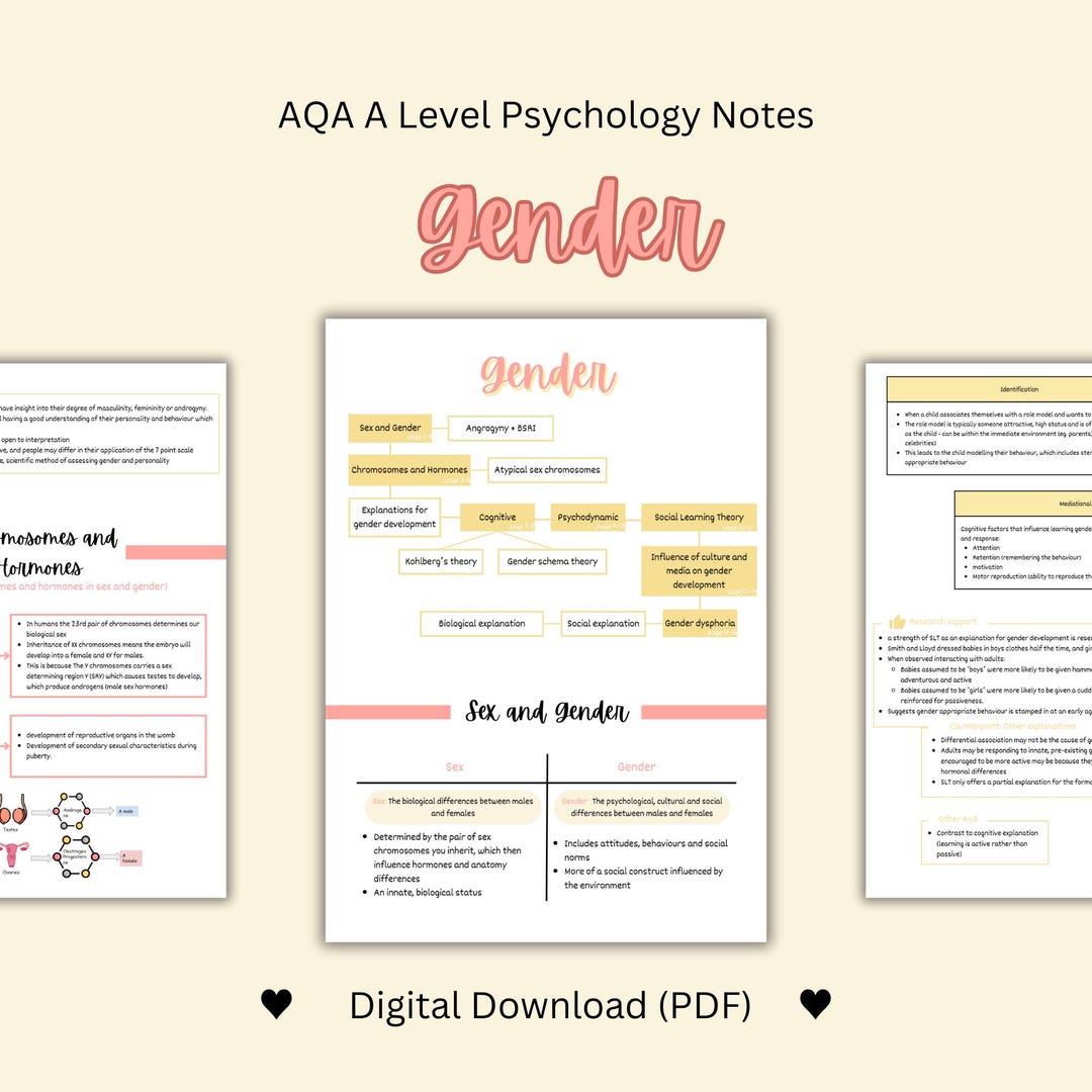 AQA A Level Psychology A* Notes - Gender | Comprehensive Revision Guide ...