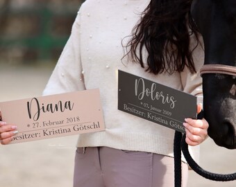 individual box sign • name plate • personalized • stable sign • door sign