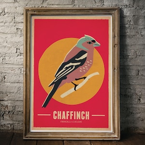 Chaffinch Bird Poster Art Print, Bird art, bird print, retro bird poster, vintage style bird print, bird wall art, bird gift, home decor