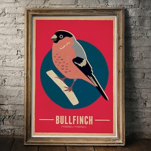 Bullfinch Bird Poster Art Print, Bird art, bird print, retro bird poster, vintage style bird print, bird wall art, bird gift, home decor