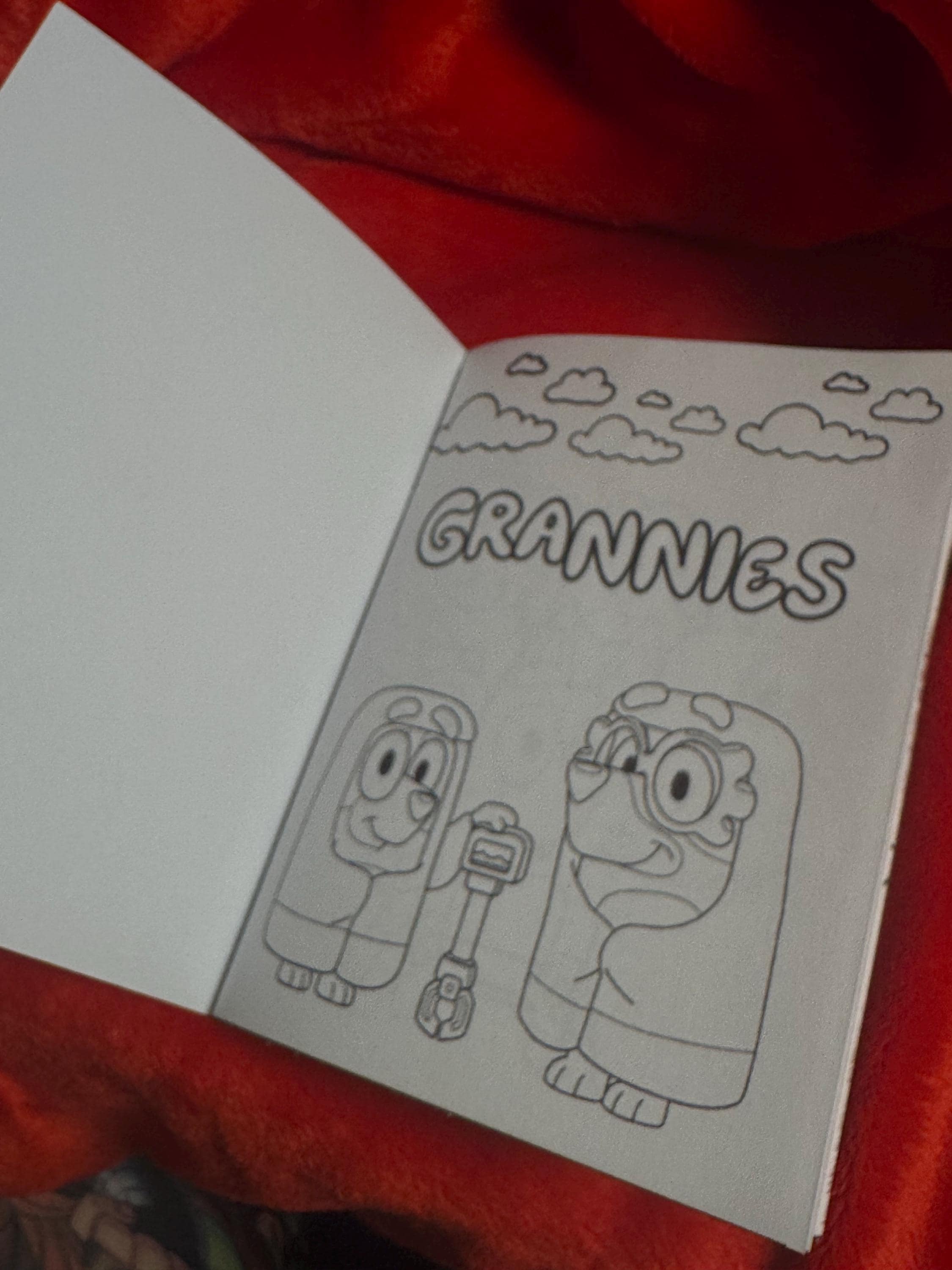 Custom Bluey Coloring Book + Crayons