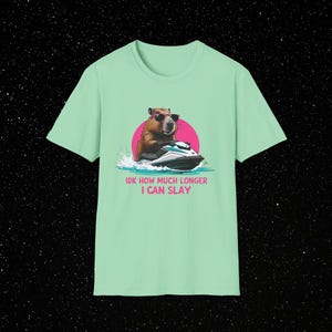 Funny Capybara Slay T-Shirt: TikTok Fan Unisex Softstyle Tee